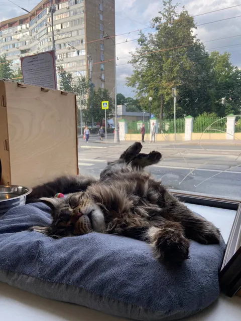 Данила — фото 8
