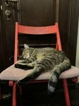 Фотография из отзыва