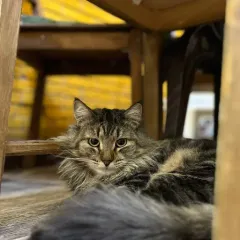 Юрочка