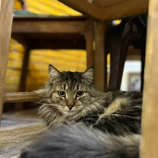 Юрочка