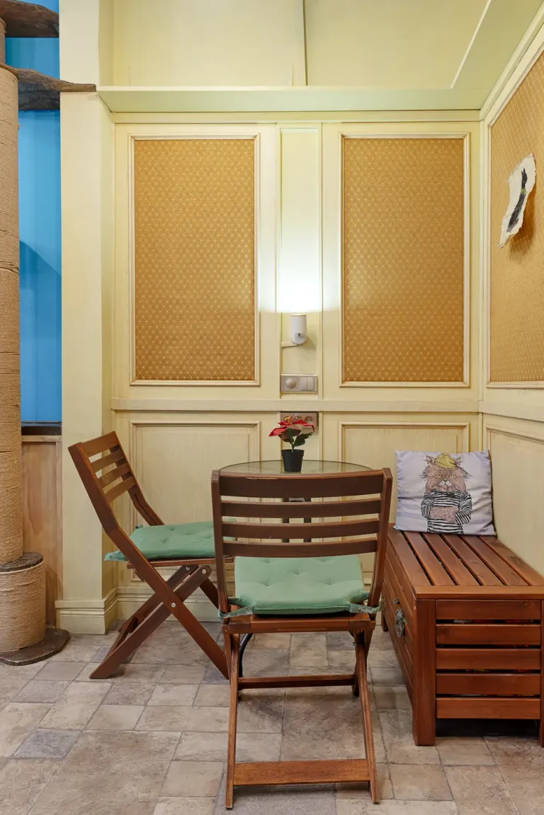 Интерьер котокафе на Проспекте Мира