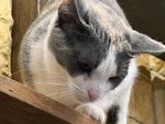 Фотография из отзыва
