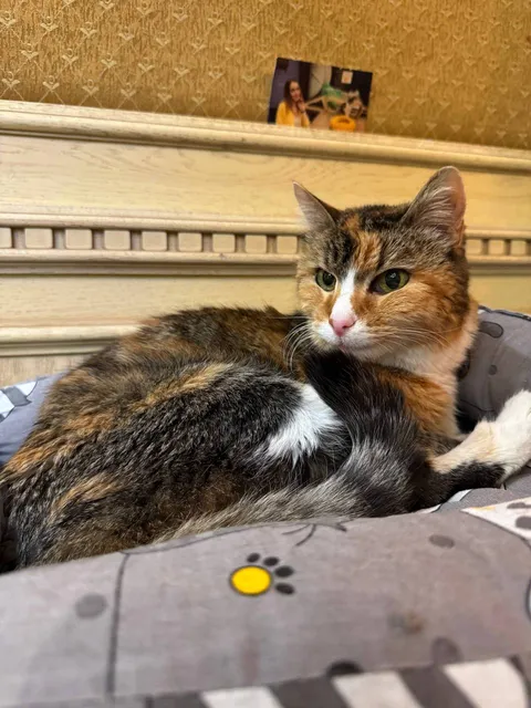 Анфиса — фото 4